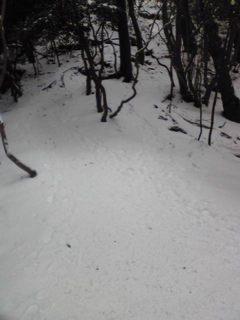 寒いのに「摩耶山」に登ってきました